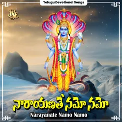 Vishnu Sahasra Namam Parayanam Maha Punyamu